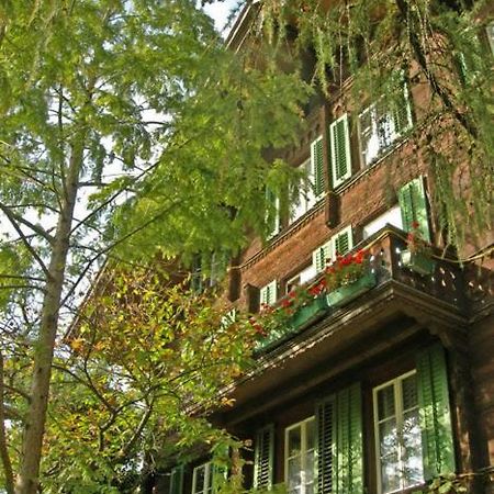 Apartments Dr. Med. Vet. Tempelman インターラーケン エクステリア 写真