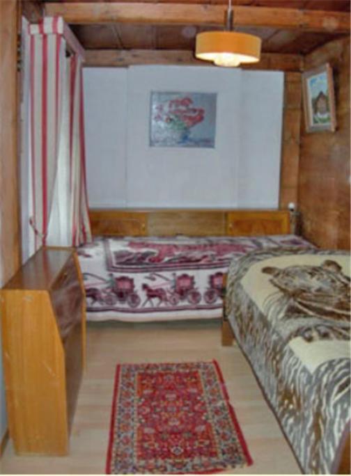 Apartments Dr. Med. Vet. Tempelman インターラーケン 部屋 写真