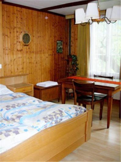 Apartments Dr. Med. Vet. Tempelman インターラーケン 部屋 写真